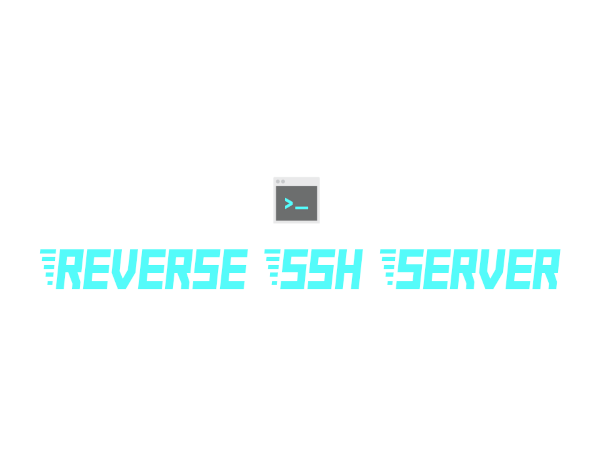 Reverse SSH Server diagram
